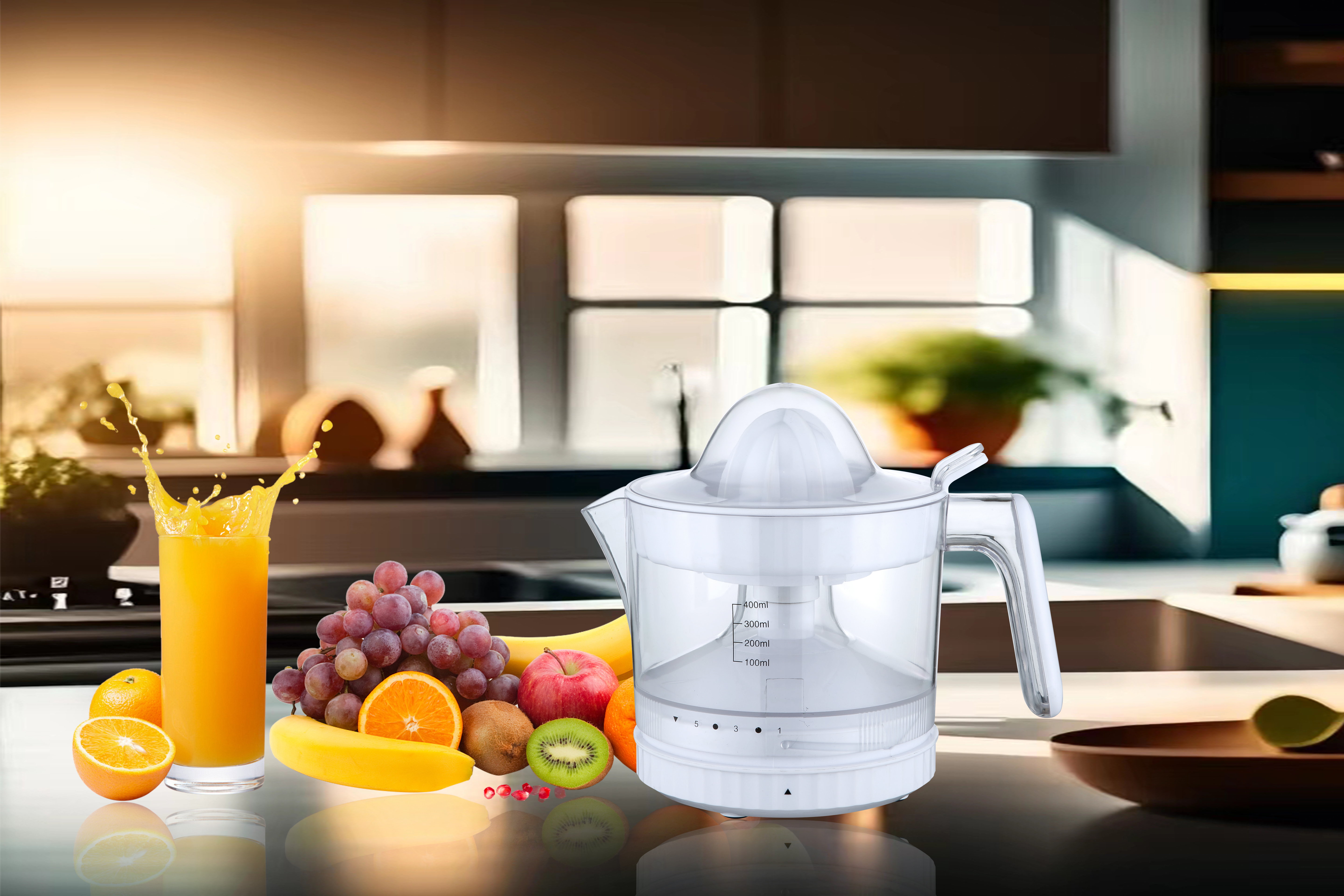 Citrus Juicer GSE017/GSE018